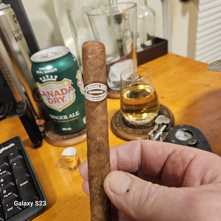 20250327_191746.jpg